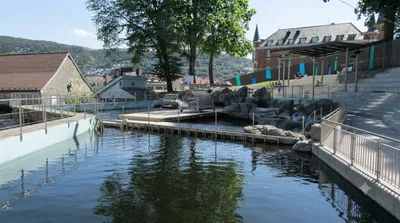 Aquarium Bergen