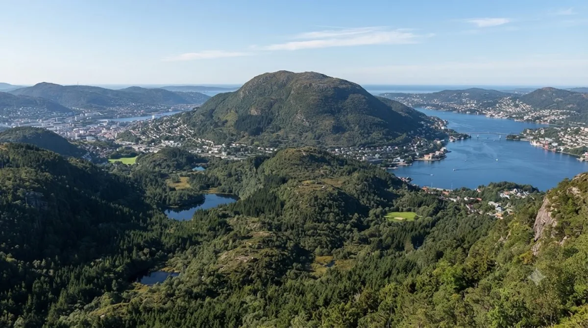Damsgårdsfjellet