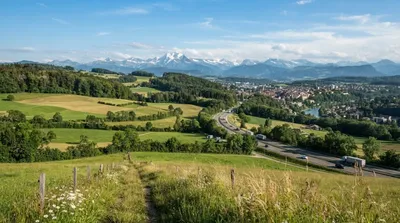 Grauholz