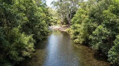 Moggill Creek
