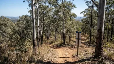 Toohey Mountain