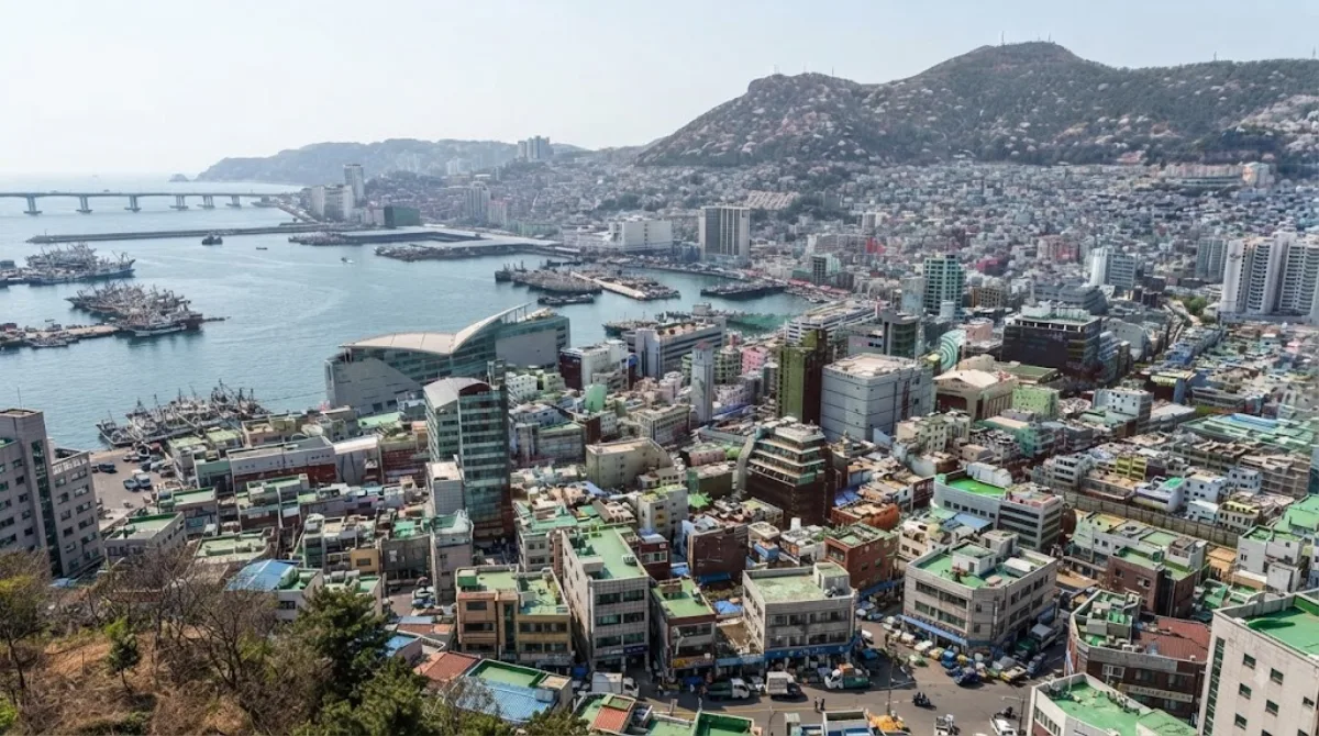 Busan Cooperative Fish Market