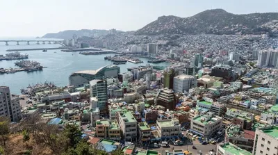 Busan Cooperative Fish Market