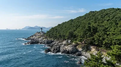 Dongbaek Island