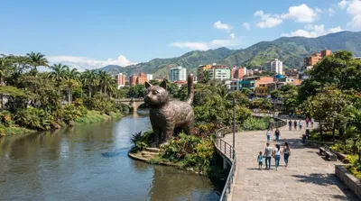 El Gato del Rio