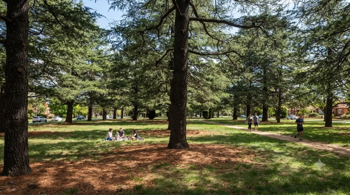 Haig Park