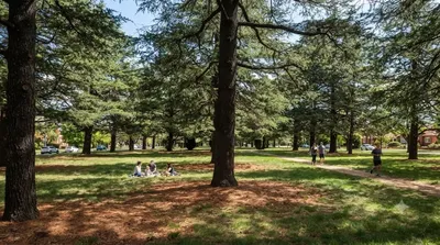 Haig Park