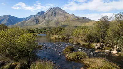 Black River