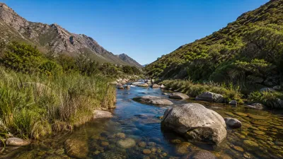 Elsieskraal River