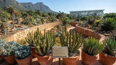 Kirstenbosch National Botanical Garden