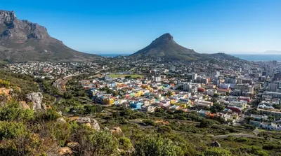Lion's Head