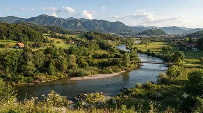 Bolska