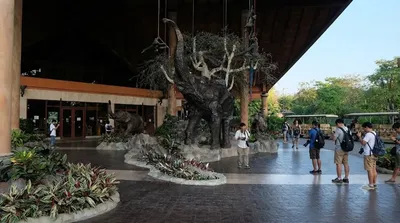 Chiang Mai Night Safari