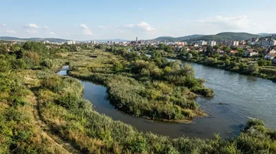 Nadăș