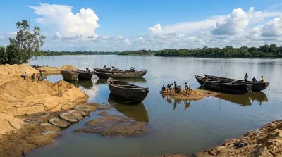 Dibamba