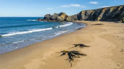 Sandfly Bay