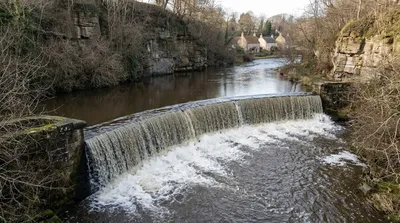 River Almond