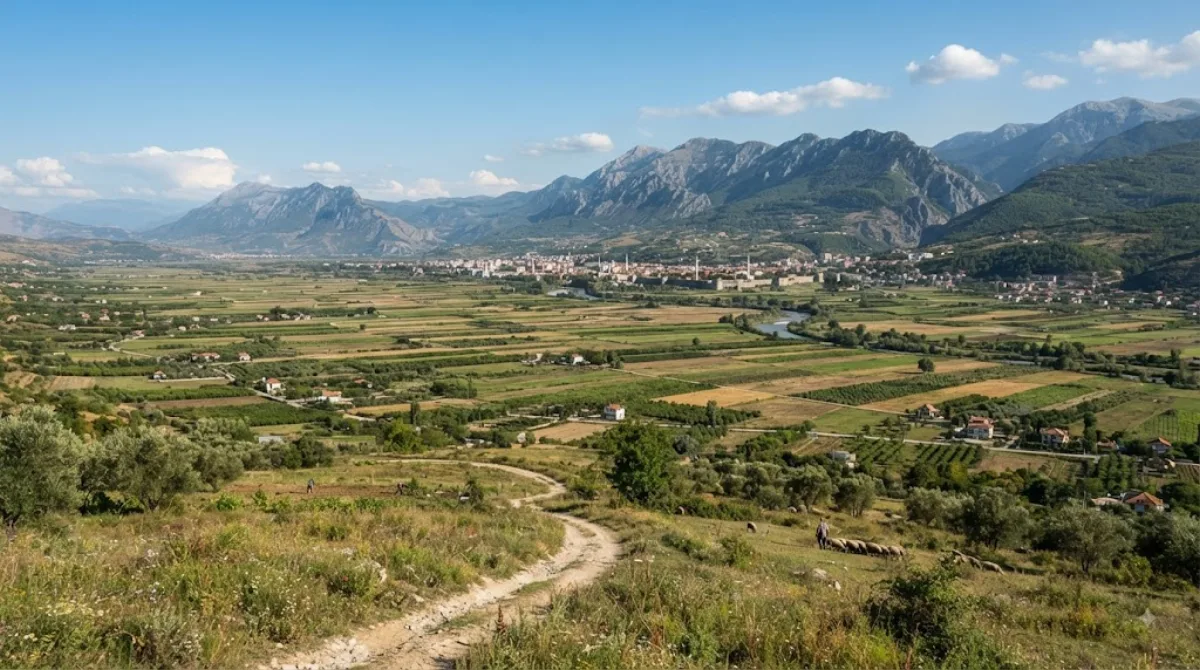 Fusha e Elbasanit