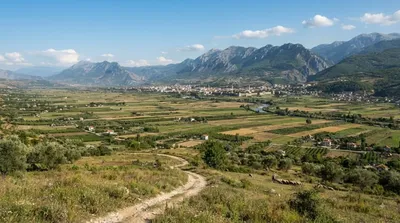 Fusha e Elbasanit