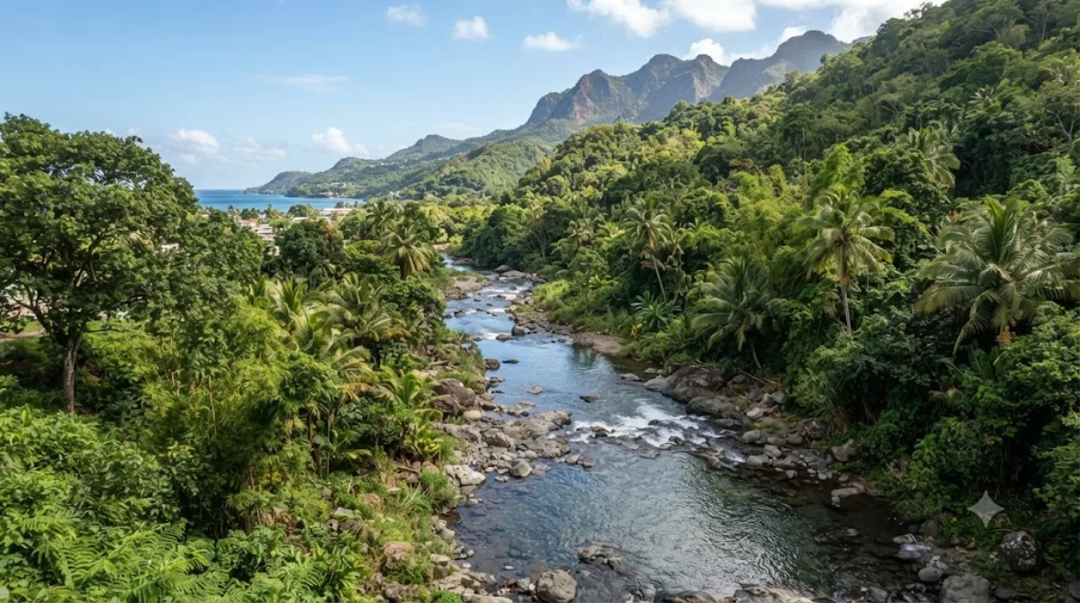 Great Palmiste River