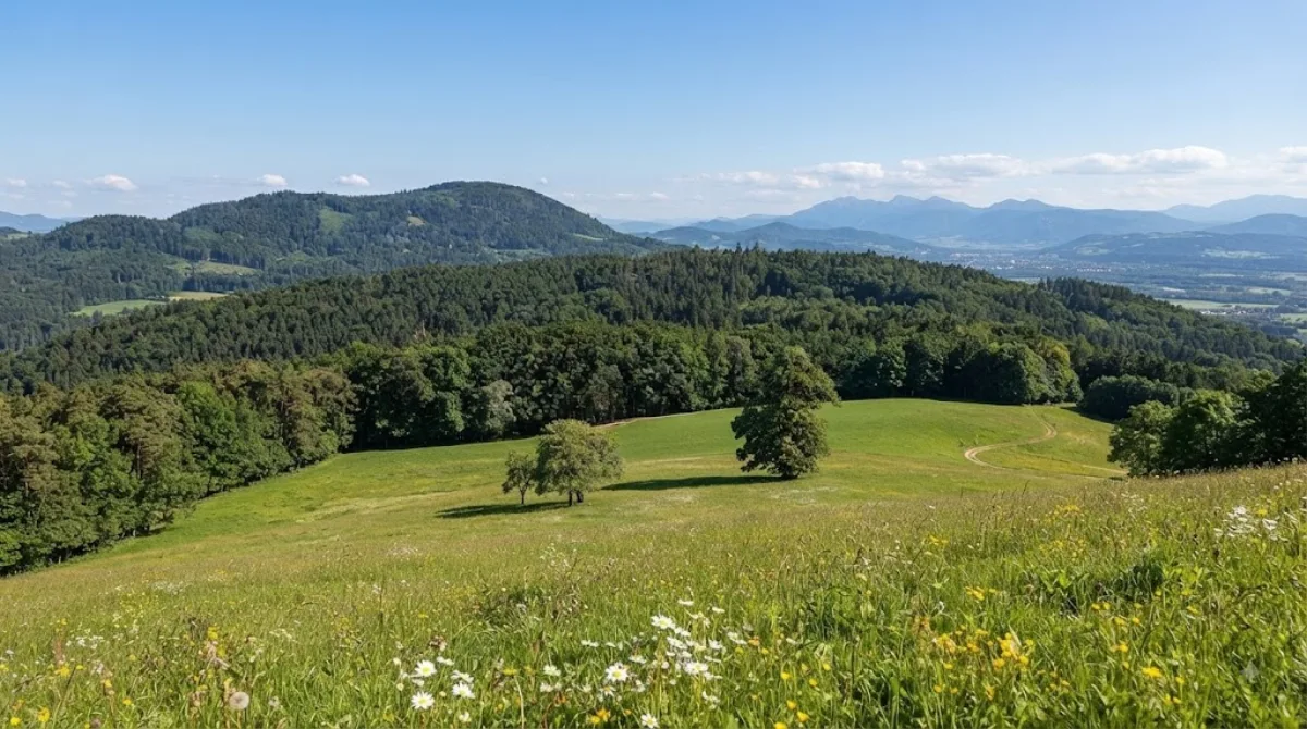 Hohe Rannach