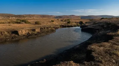 Kishon River