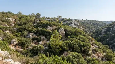 Nahal Oren