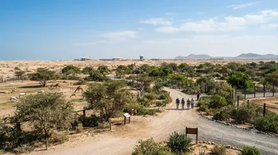 Mohamed bin Zayed Nature Reserve