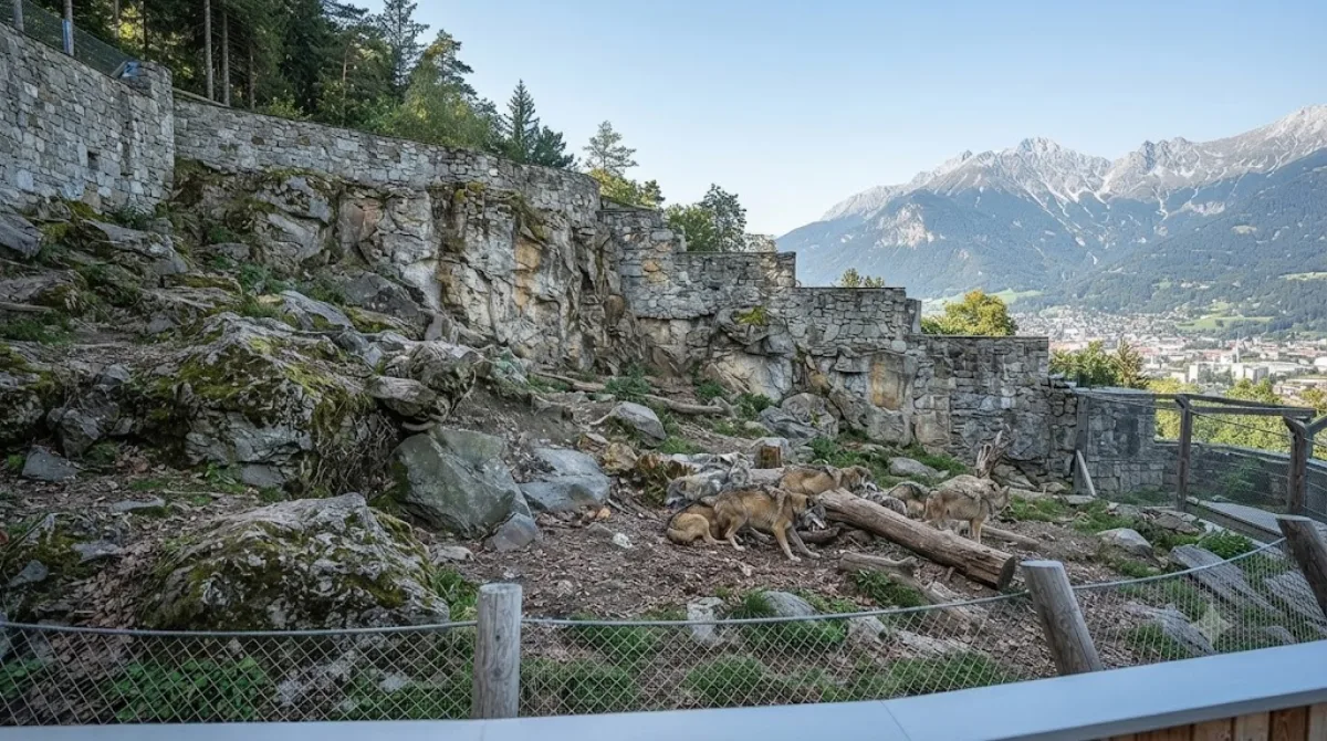 Alpenzoo Innsbruck