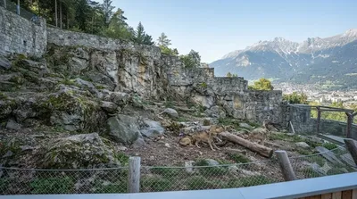 Alpenzoo Innsbruck