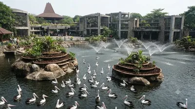 Ragunan Zoo