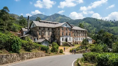 Ceylon Tea Museum