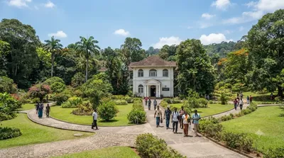 National Herbarium of Sri Lanka