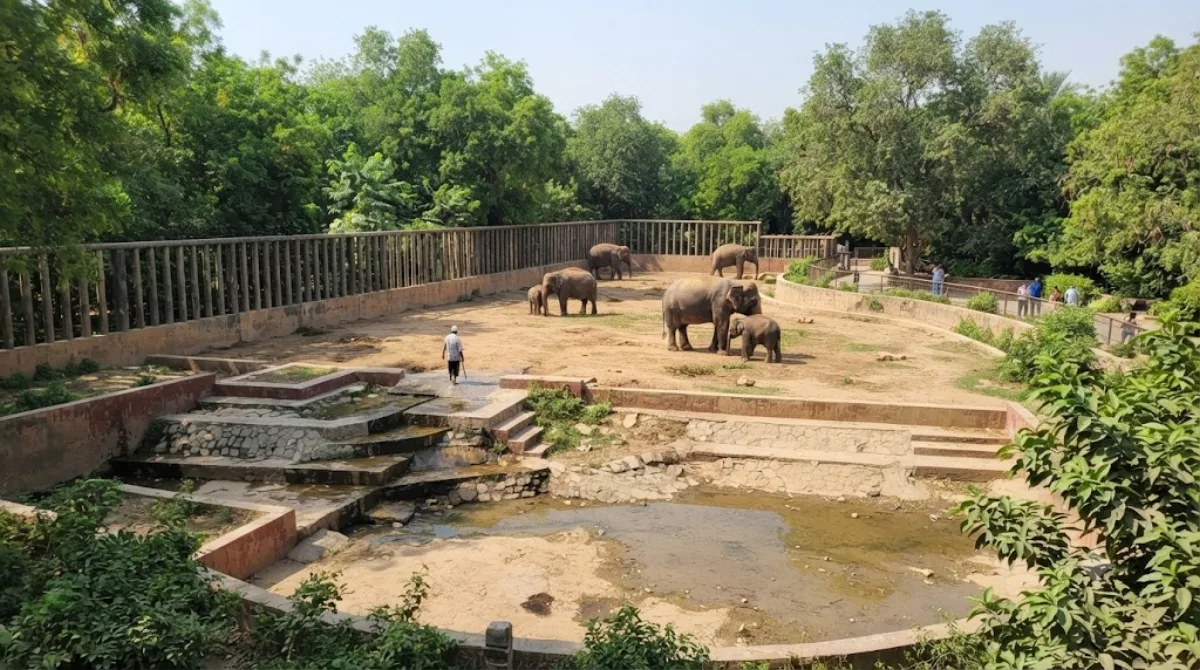 Karachi Zoo