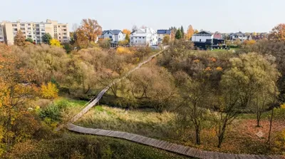 Gričiupis