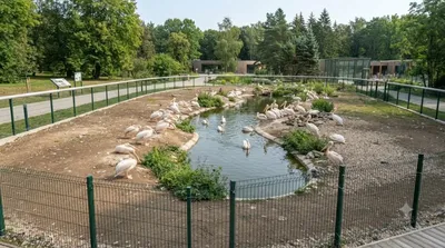 Lithuanian Zoo