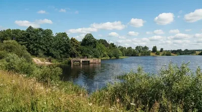 Eketė