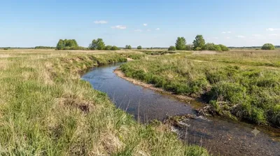 Smeltalė