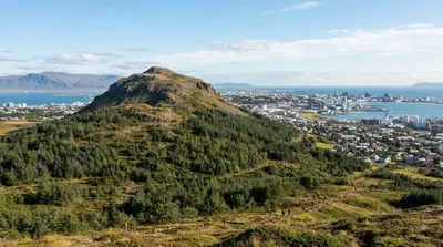 Úlfarsfell