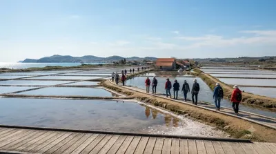 Sečovlje Salina Landscape Park