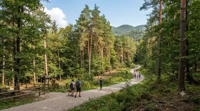 Udin Woods