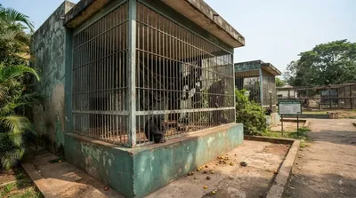 庫馬西動物園