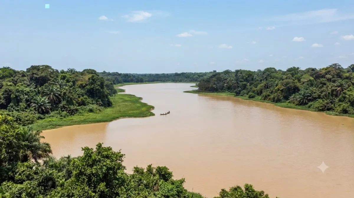 Owabi River