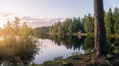 Valkeinen