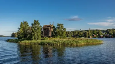 Vasikkasaari