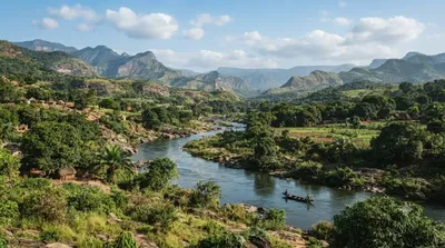 Gambia River