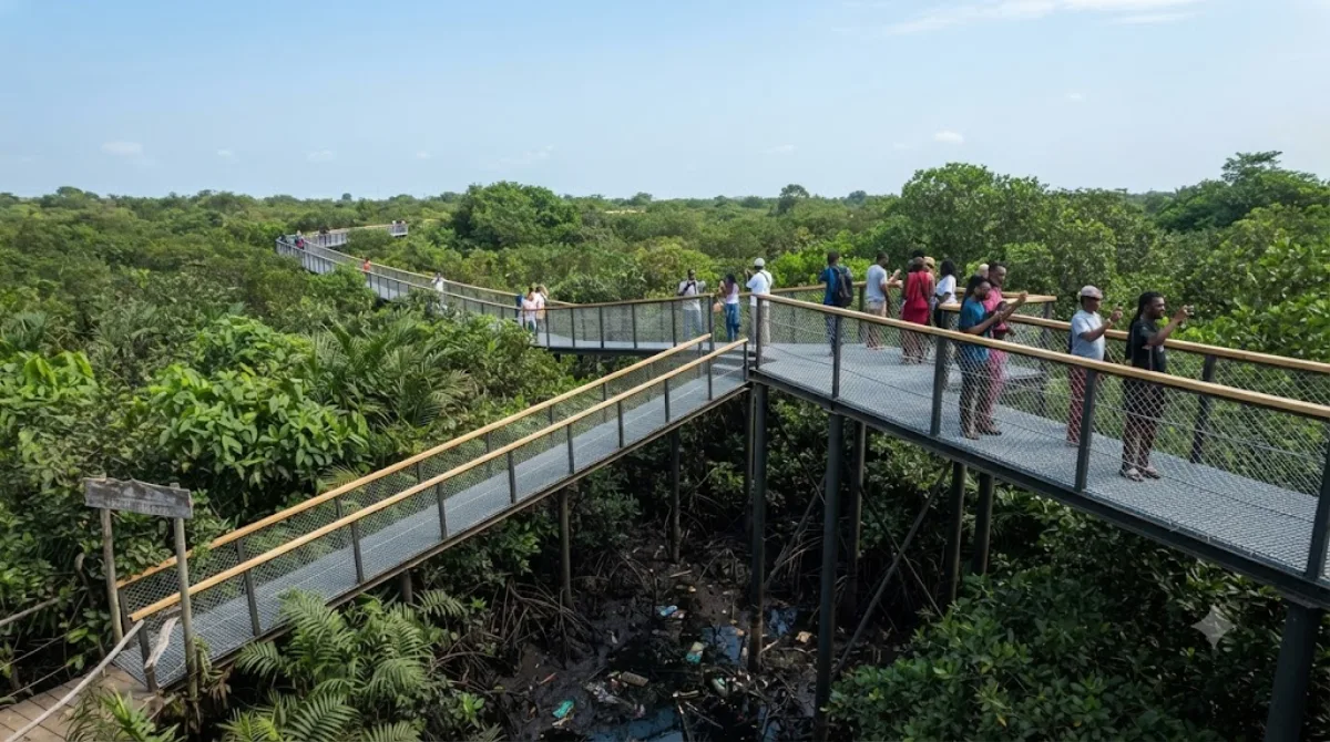 Lekki Conservation Centre