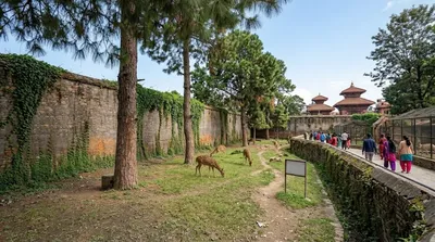 Kathmandu Zoo