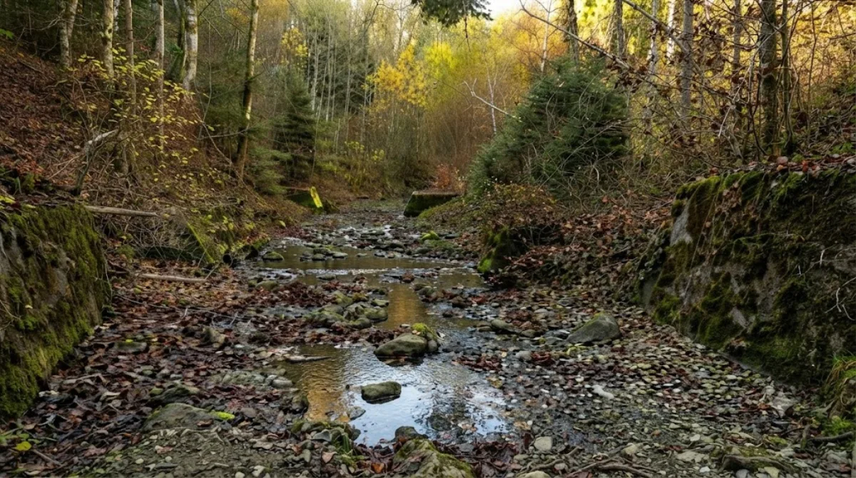 Paudèze