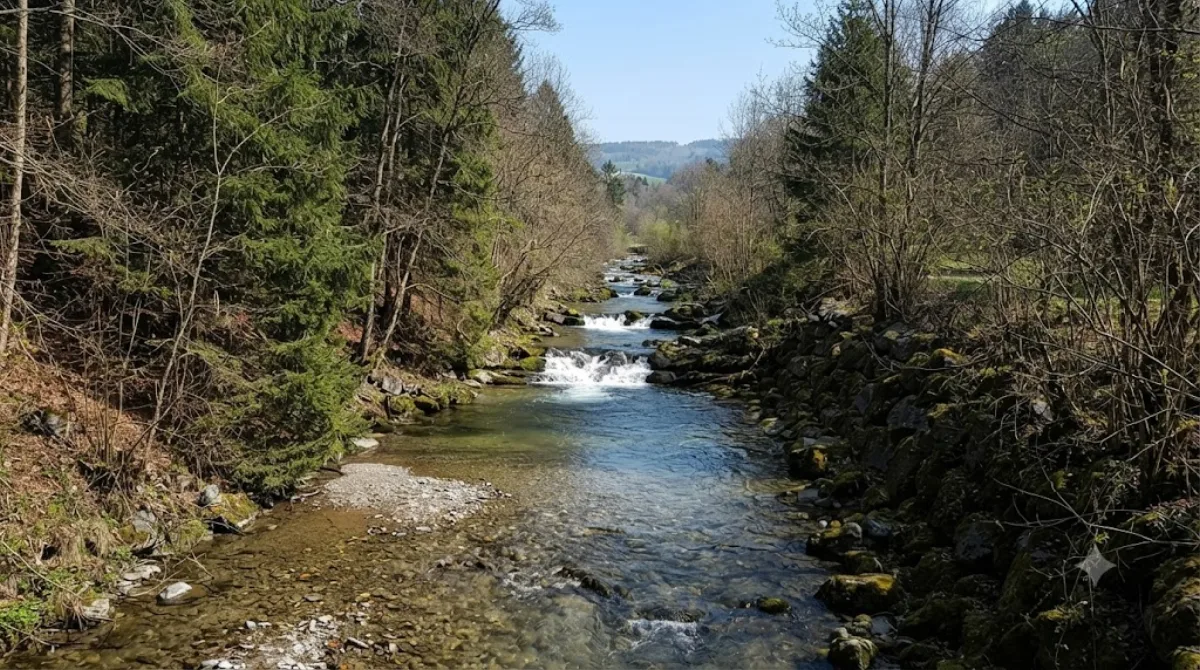 Vuachère